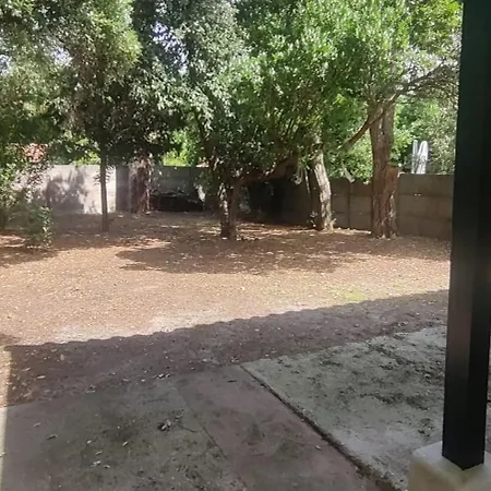 Spacious House Near The *