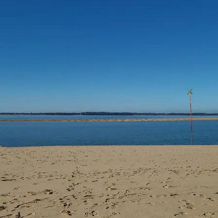 Spacious House Near The *