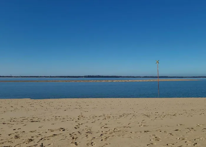 Spacious House Near The *